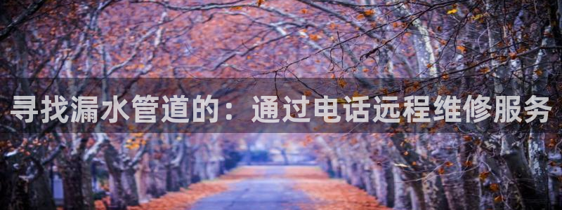 天辰娱乐入口