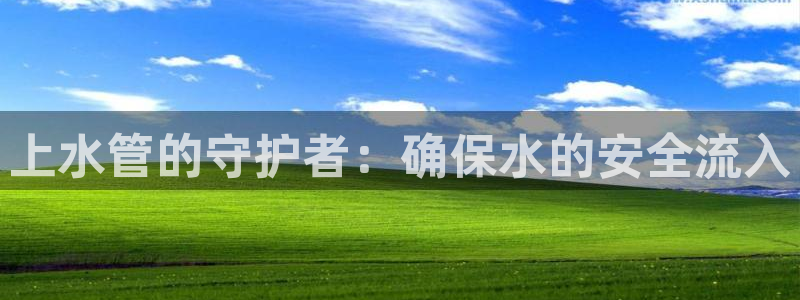 天辰娱乐海洋
