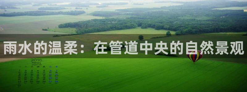 天辰娱乐 . 鱼刺