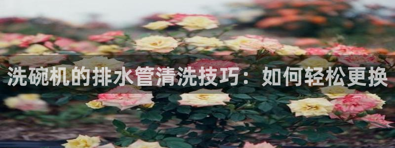 天辰娱乐网