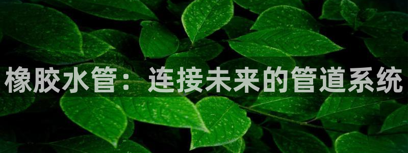 天辰在线娱乐