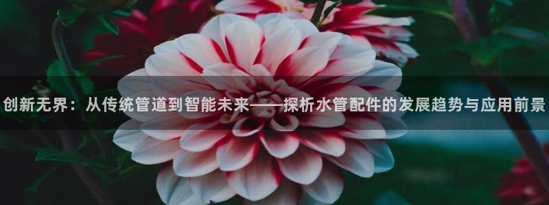 天辰娱乐分红