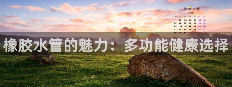 天辰娱乐22650