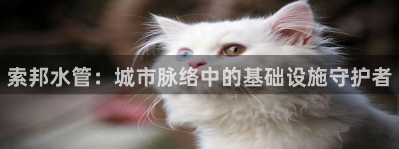 天辰娱乐新闻