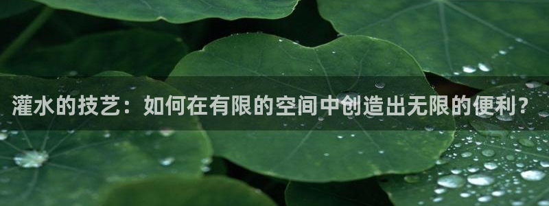 天辰国际娱乐