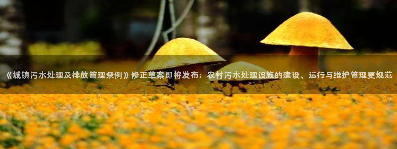 天辰娱乐957807
