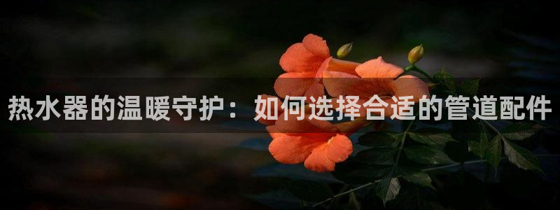 天辰娱乐指定