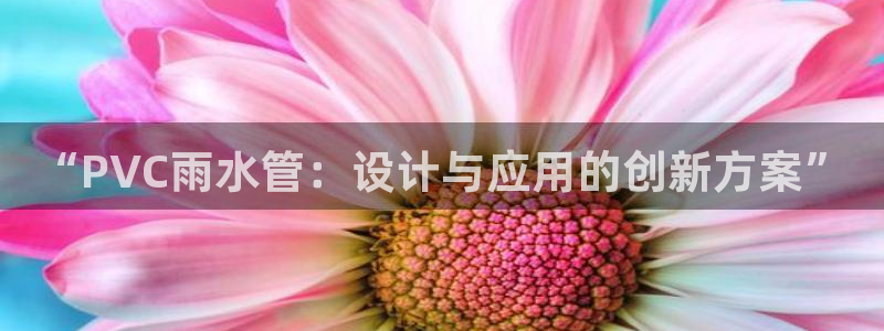 天辰娱乐内部