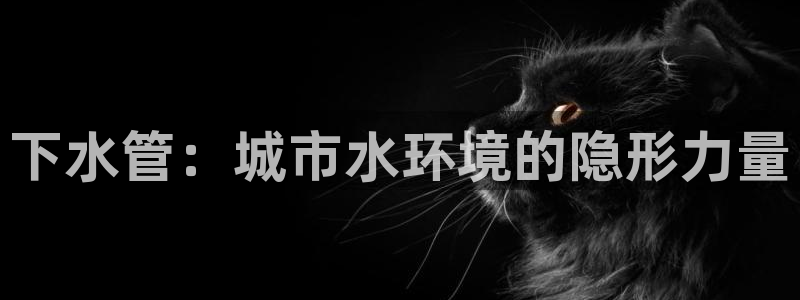天富娱乐与天辰娱乐