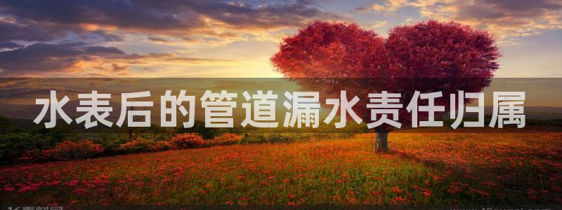 天辰娱乐招商