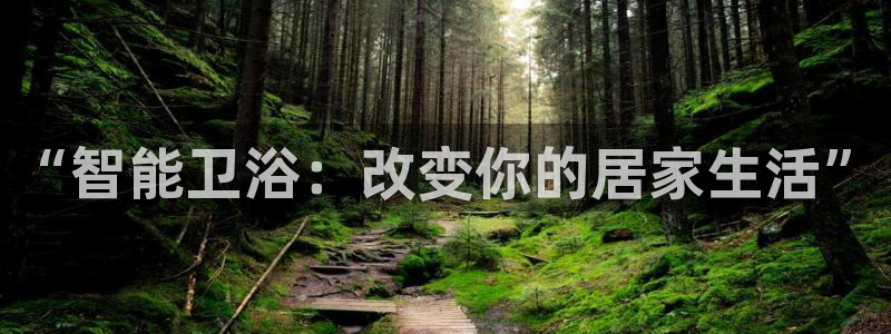 nba天辰娱乐