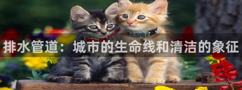 天辰娱乐上级