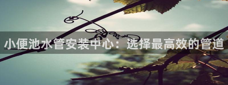天辰娱乐棋牌