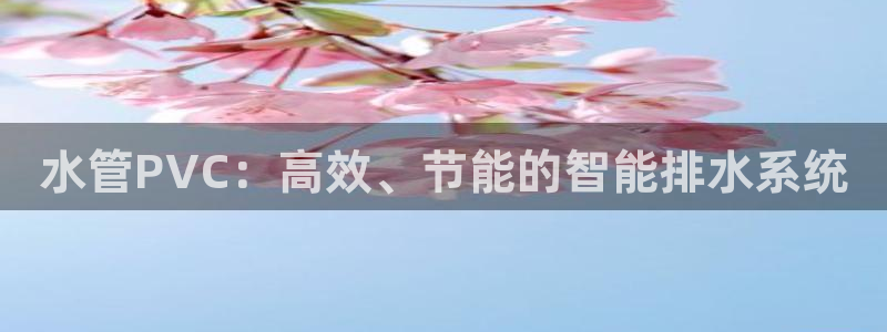 天辰娱乐天辰宝