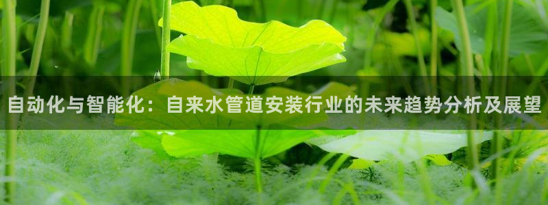 天辰娱乐小妹