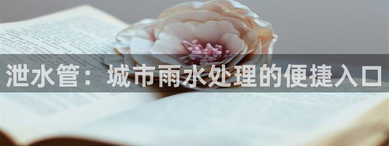天辰娱乐957807