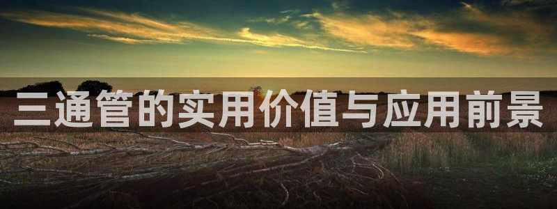天辰娱乐简介