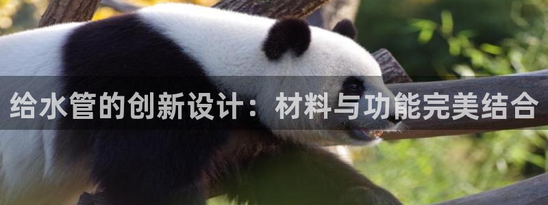 天辰娱乐2