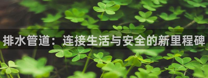 天辰娱乐44516