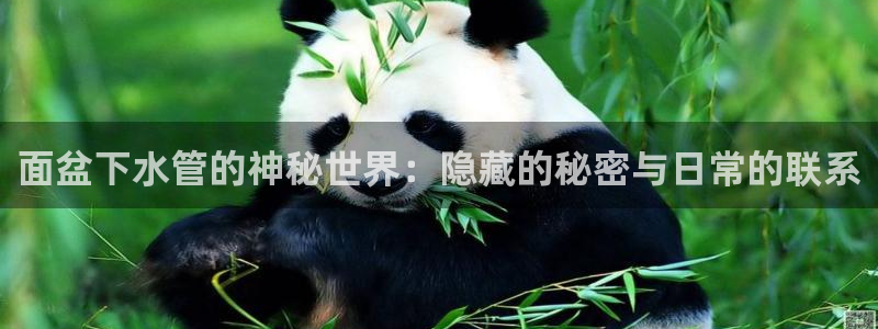 天辰娱乐首页