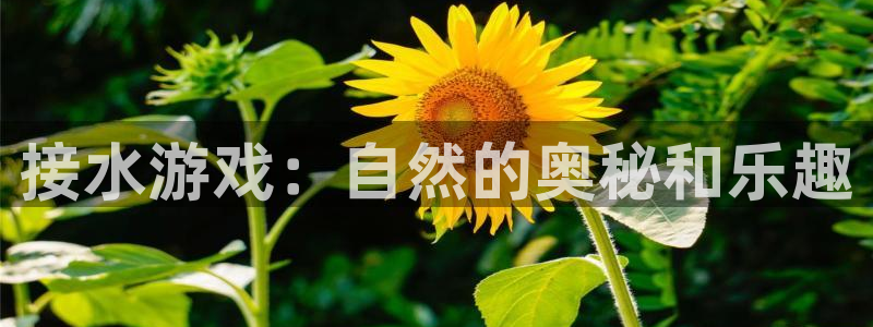 天辰娱乐下载