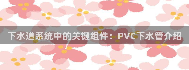 天辰娱乐小妹