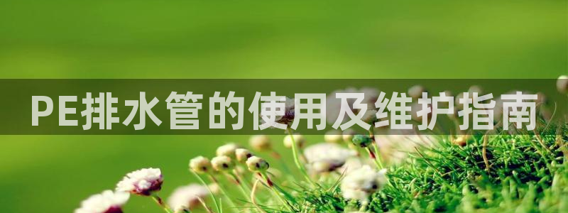 天辰娱乐开户