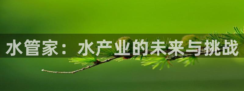 大庆天辰娱乐