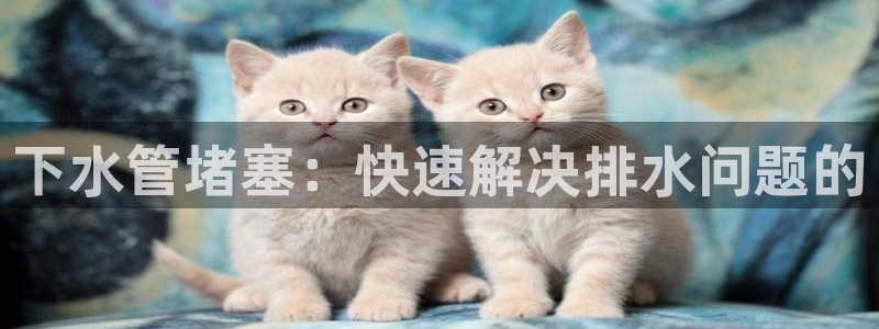 天辰娱乐appxi