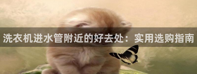 天辰娱乐675138