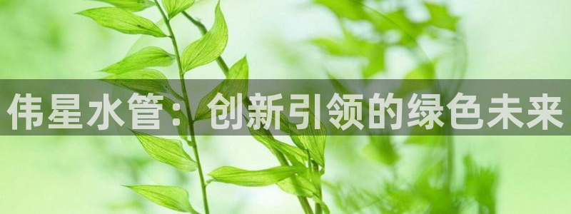 天辰娱乐论坛