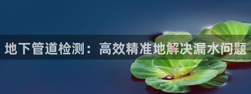 天辰娱乐1980