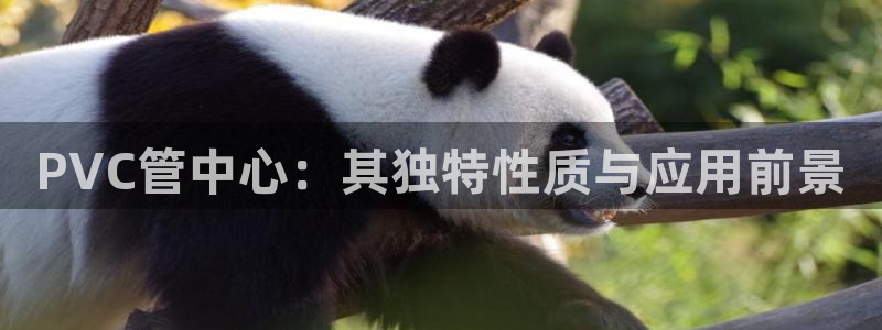 天辰娱乐登录网址