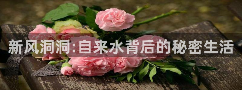 天辰娱乐 . 鱼刺