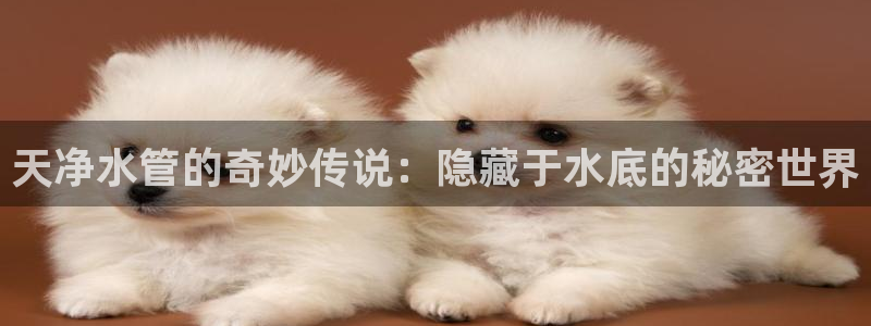 天辰娱乐39974神