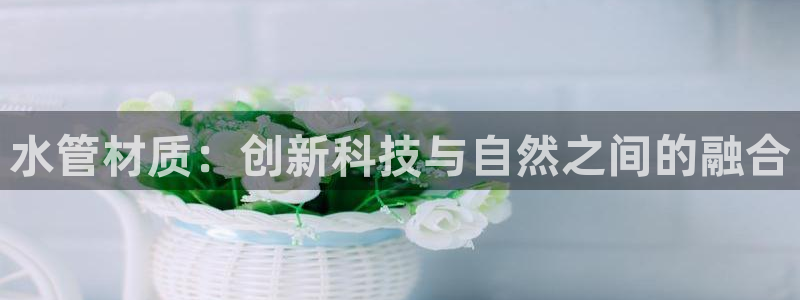 天辰娱乐APP下载