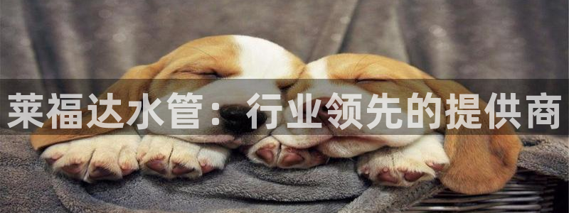 天辰娱乐平台注册