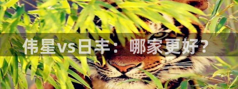 天辰 娱乐
