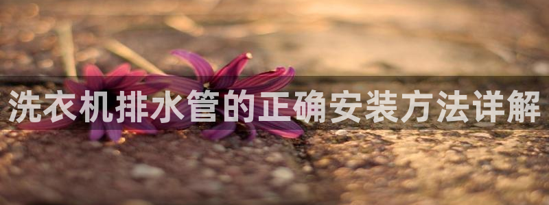 天辰娱乐平台app下载