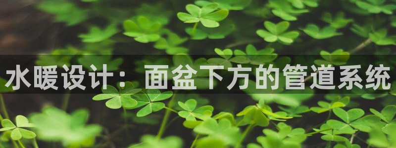 天辰团队贝高娱乐