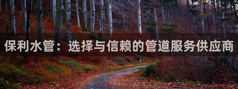 天辰团队贝高娱乐