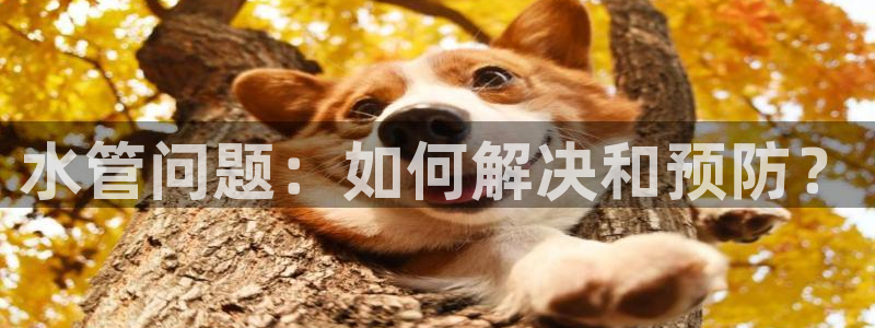 天辰娱乐指尖所