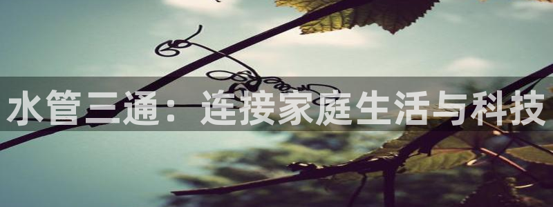 天辰娱乐游戏平台怎么样