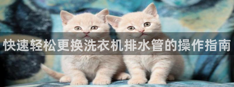 天辰娱乐十分彩